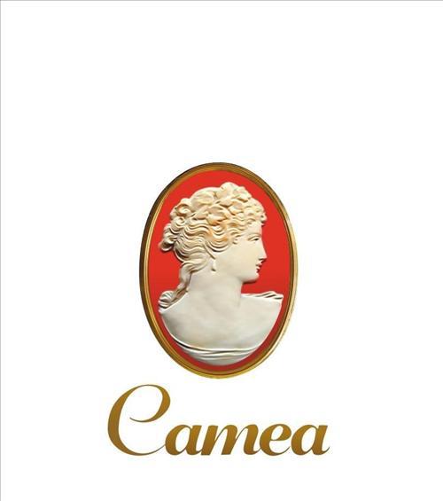 Camea Aparthotel Krakau